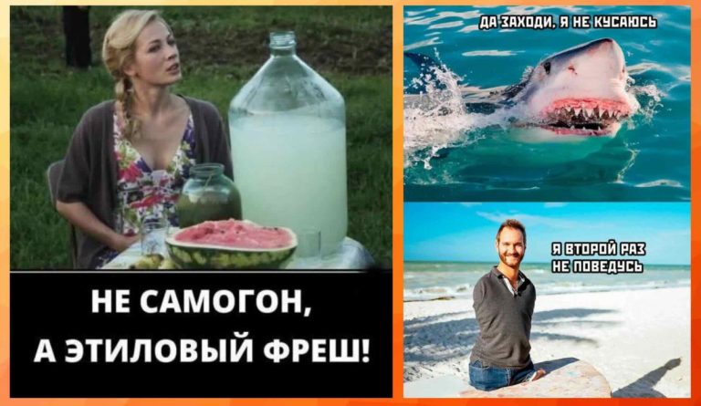 Юмор для тех, кто уже повзрослел и понял, что «маркетплейс» — это ловушка для зарплаты