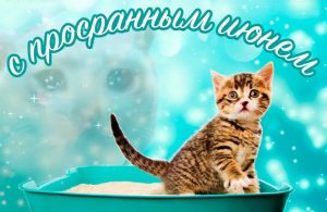 Юмор за день и травматологи