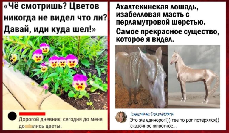 Забавные комментарии, которые как острый соус приправляют сам пост