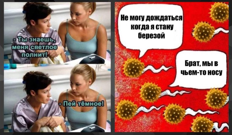 Интернет мемы в субботу и березовая пыльца