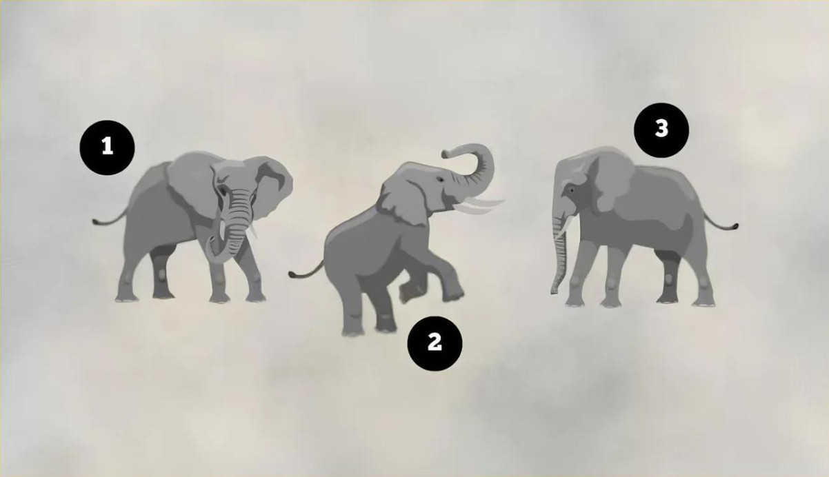 🐘 Психологический тест: выберите слона и узнайте, как часто вы врёте