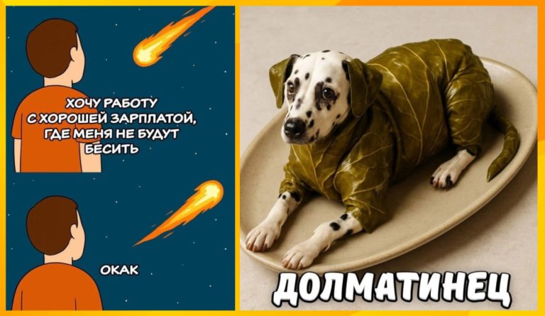 Интернет мемы на утро вторника и долматинец