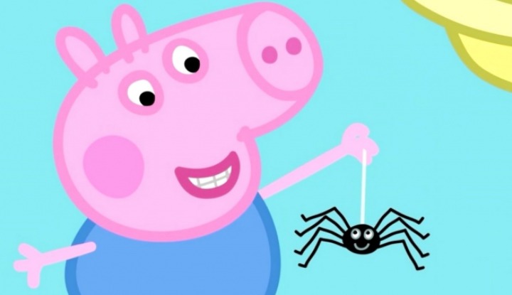 Почему не следует убивать пауков. Вы удивитесь