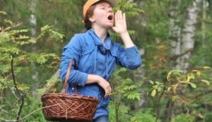 Ауэрс: Литва инвестировала в бизнес, а Латвия — в концертные залы