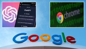 Сосиски с гвоздями привели к смерти знаменитой полицейской собаки