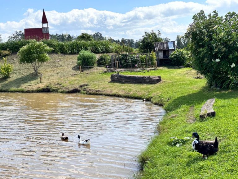 До +33 °C: завтра в Латвии прогнозируют пик жары, но он продлится недолго