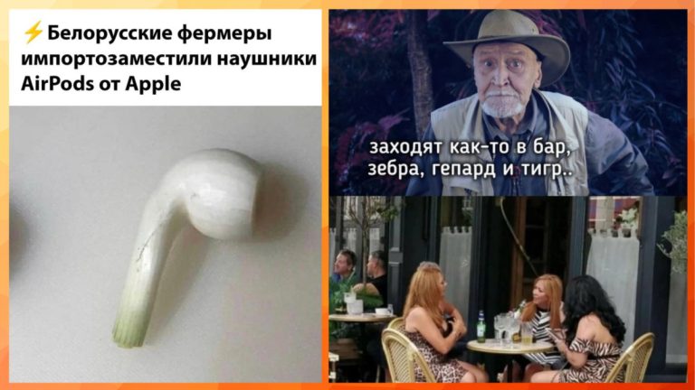 Смешные картинки с надписями и зебра, гепард и тигр
