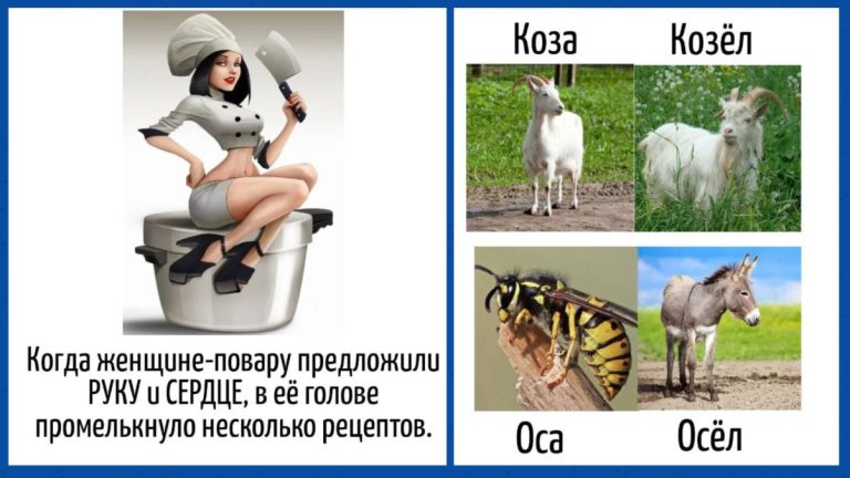 Игра слов - юмор скрытый в языке и каламбурах