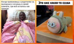 🌟 Гороскоп на четверг 24 июля для всех знаков Зодиака