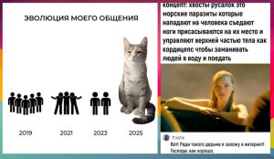 🕵️‍♀️ Глаз как у орла? Найдите 3 отличия на картинке за 33 секунды — и узнайте, насколько вы внимательны!