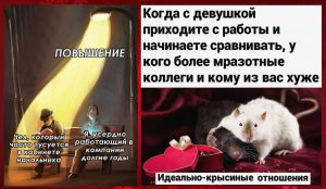 Что делают голландские родители, чтобы воспитать своих детей самыми счастливыми в мире