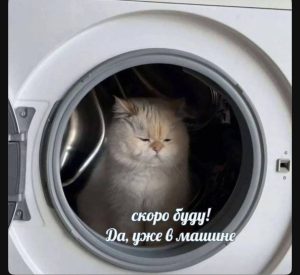 Всё, что нужно знать о самом модном типе чёлки этим летом