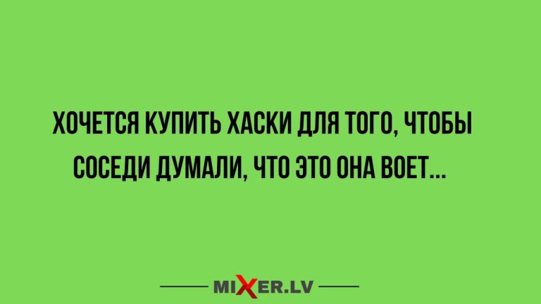 Юмор за день и хаски
