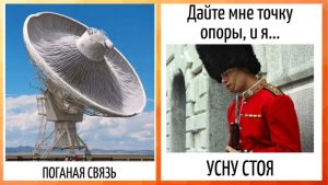 Выбери лисицу — и узнай, насколько ты проницателен