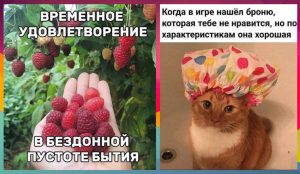 Юмор за день и хаски