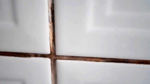 Выбери звёздную ночь и узнай, какая черта твоего характера мешает тебе расти