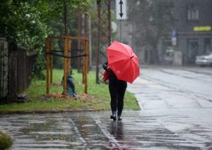 В Риге появится новое кладбище с крематорием и колумбарием