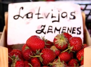 Житель возмущен: почему подросткам до 15 лет сложно найти работу на летних каникулах? (+опрос)