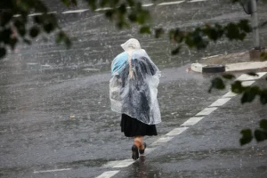 В Юрмале проходит встреча президентов Латвии и Германии: в центре внимания — оборона Европы