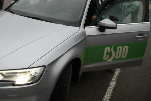 В Юрмале предлагают штрафовать за кормление диких птиц — открыт сбор подписей