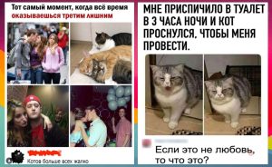 Эксперты предупреждают владельцев домашних животных о 7 овощах, которые собакам ни в коем случае нельзя есть