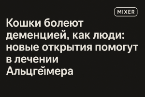 Гороскоп на пятницу, 15 августа от Тамары Глобы: доводим дела до конца