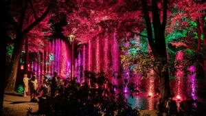 Ушел из жизни архитектор Янис Крастиньш