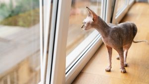 Латвия закупит для медиков бронежилеты и каски почти на миллион евро