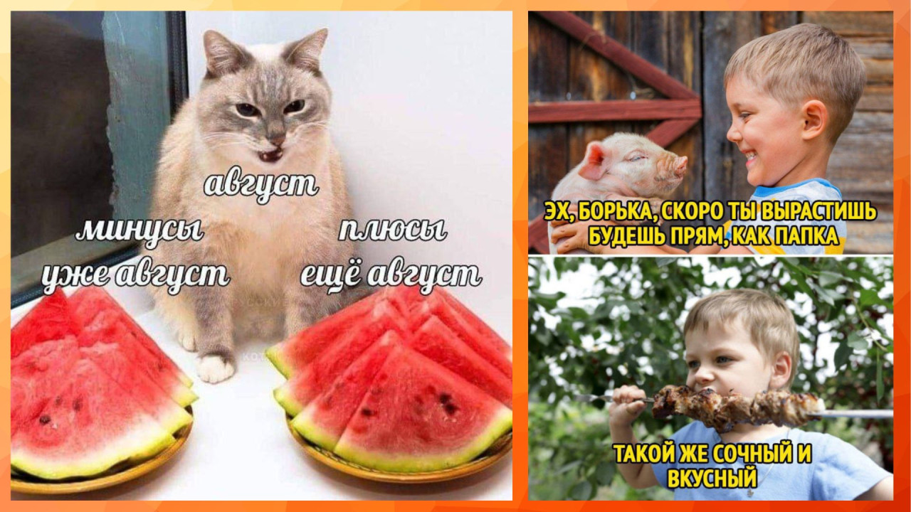 Смешные картинки с надписями и конец августа