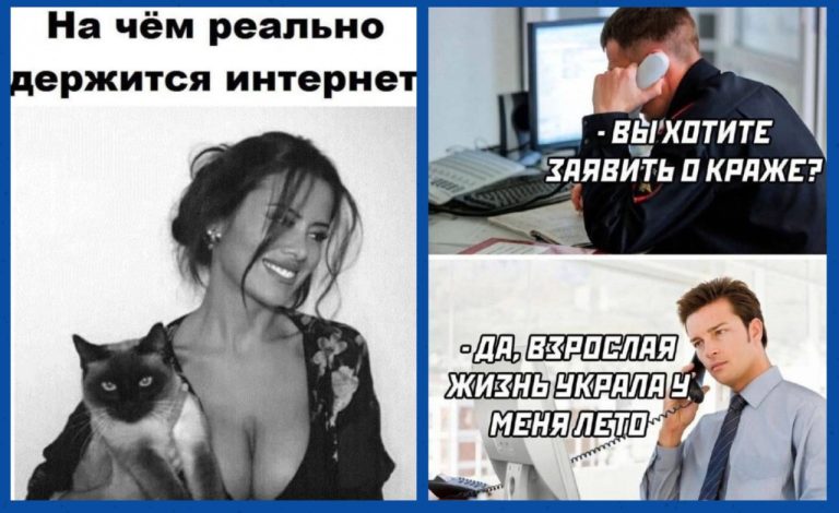 Юмор для тех, кто уже повзрослел и понял, что «быть на волне» - значит читать мемы, а не новости