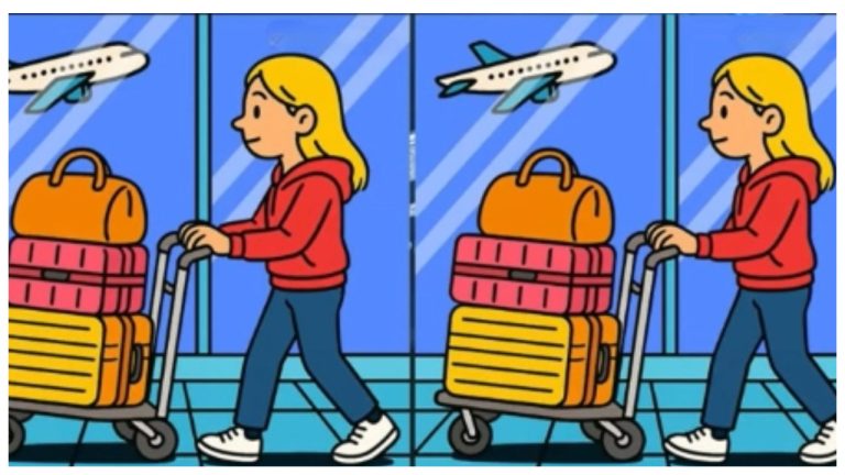 ✈️ Только для внимательных! Найди 3 отличия на картинке из аэропорта - и докажи, что тебя не проведёшь даже на паспортном контроле!