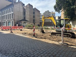 Латвийские арбузы этим летом не растут: урожай погубили дожди и слизни
