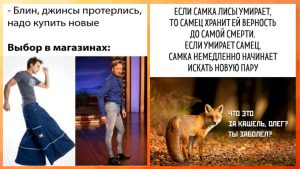 Юмор за день и диджей