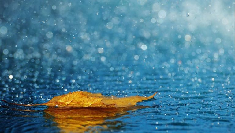 Опять циклон: последняя неделя лета принесет сильные дожди и прохладную погоду