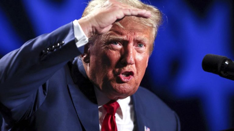 Трамп хочет отнять лицензии на вещание у телеканалов ABC и NBC