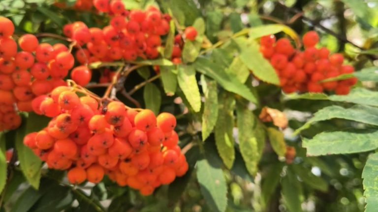 В среду потеплеет, дожди прекратятся