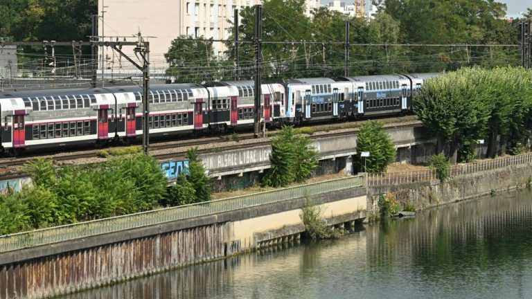 Под Парижем в Сене нашли тела четырех мужчин. Обвинения в убийствах предъявлены бездомному