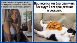 🌟 Гороскоп на пятницу 29 августа 2025 года для всех знаков Зодиака