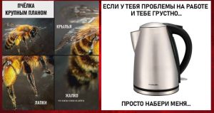 Кому потекут деньги: Финансовый гороскоп на сентябрь 2025 года для вашего знака зодиака