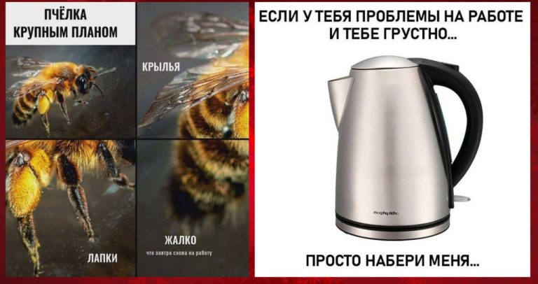 Смешные картинки и мемы про работу и пчела