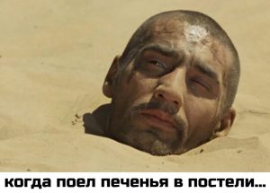 Август в огороде — что теперь делать с помидорами, огурцами и картофелем?