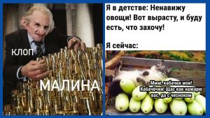 🌟 Гороскоп на воскресенье 31 августа 2025 года для всех знаков Зодиака
