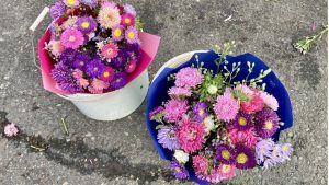 Каждый третий родитель в Латвии откладывает средства на образование ребёнка - данные опроса