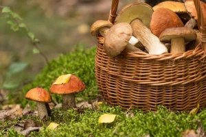 «Мазня» или искусство? В Риге обсуждают новый мурал