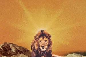 Юмор за день и брови