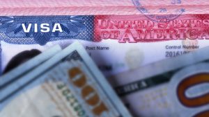 Посчитали — прослезились: зарубежное исследование выявило драматизм c пенсиями в Латвии