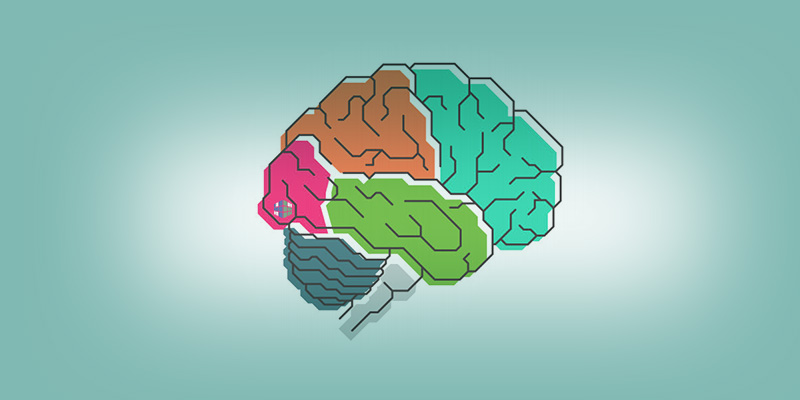 🧠 Пять привычек, которые выдают умного человека с первой минуты общения