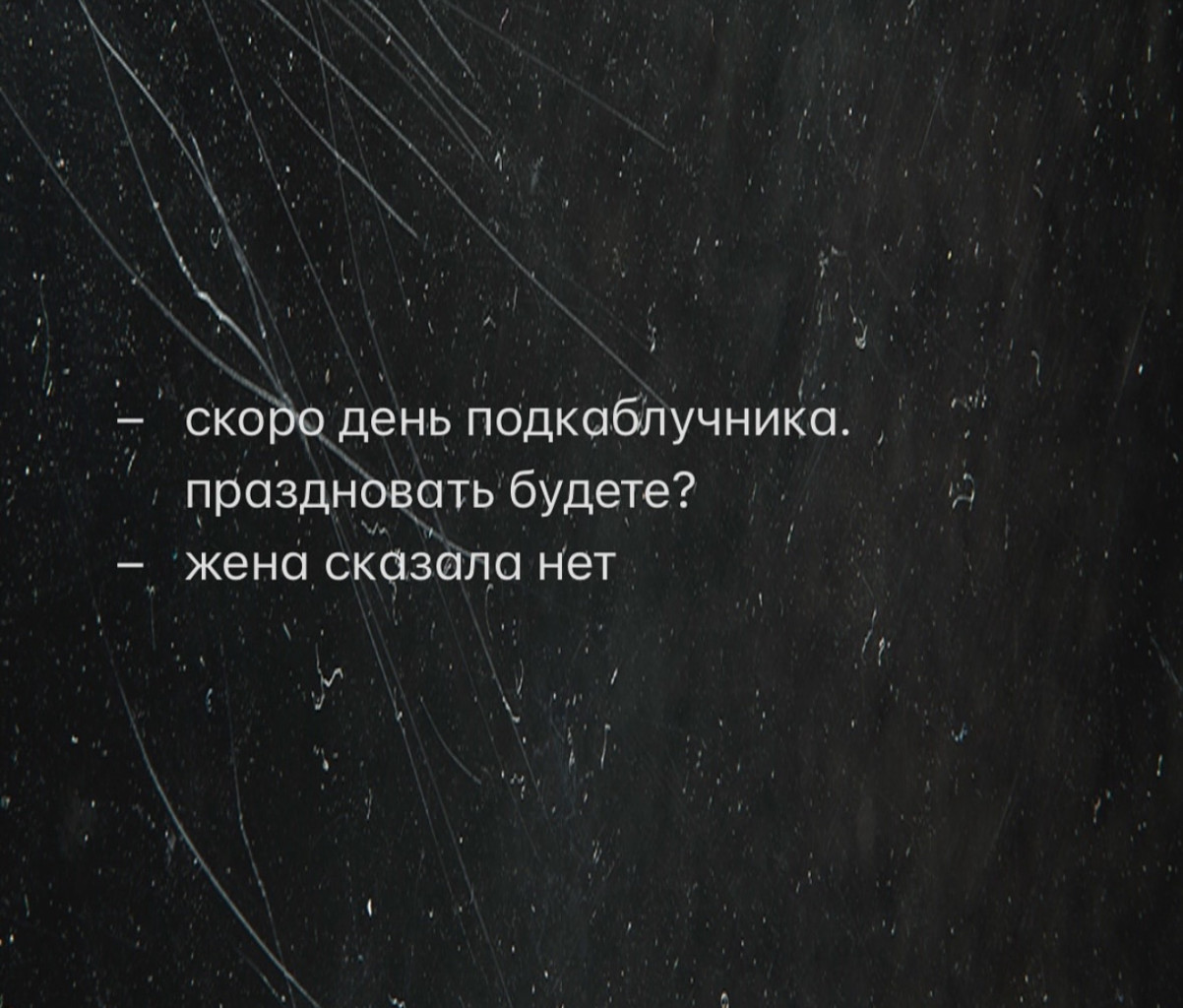 Ницше и кошачий наполнитель в одной шутке