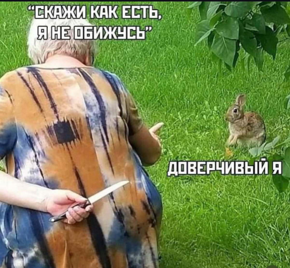 Скажи как есть — и удар в спину. Мем с зайцем и ножом