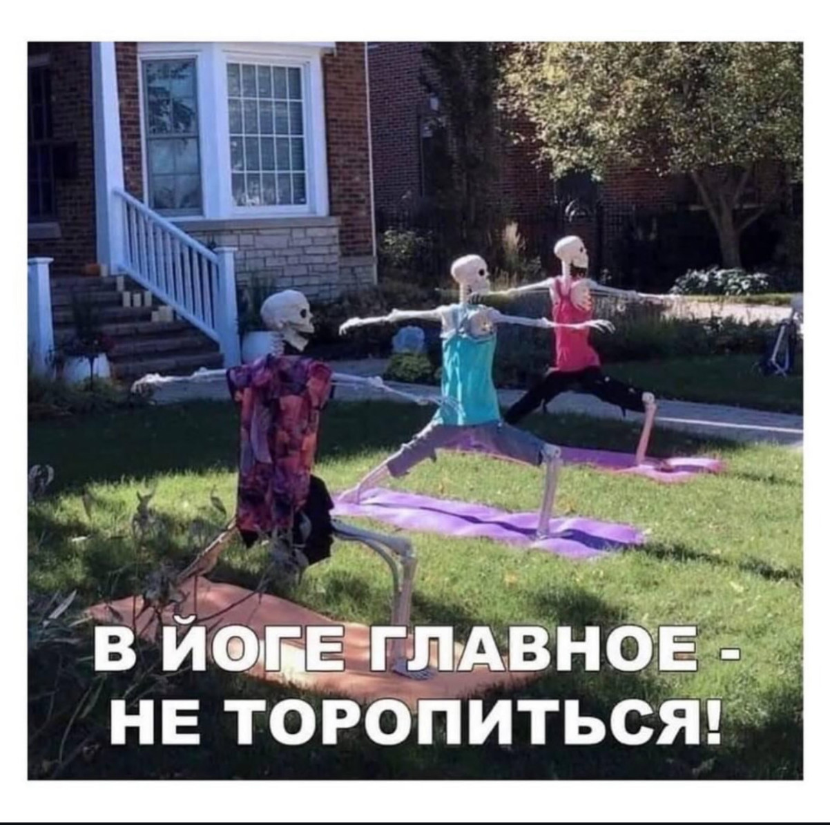 Скелеты на ковриках и «не торопись» — мем, достойный лайка